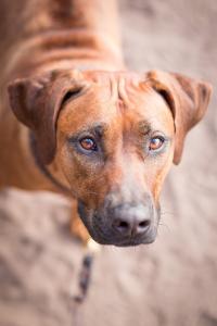 IMG_3465-web  